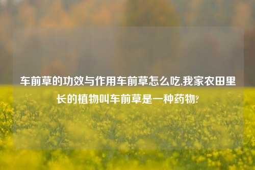 车前草的功效与作用车前草怎么吃,我家农田里长的植物叫车前草是一种药物?