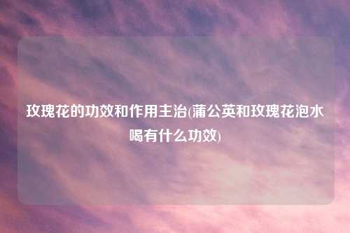 玫瑰花的功效和作用主治(蒲公英和玫瑰花泡水喝有什么功效)