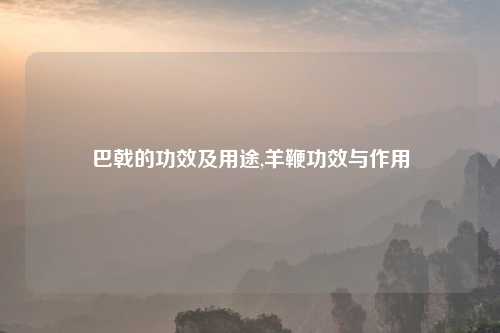 巴戟的功效及用途,羊鞭功效与作用