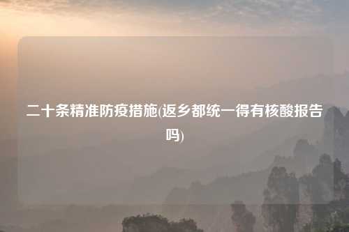 二十条精准防疫措施(返乡都统一得有核酸报告吗)