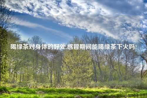 喝绿茶对身体的好处,感冒期间能喝绿茶下火吗?