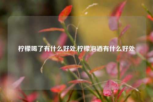 柠檬喝了有什么好处,柠檬泡酒有什么好处