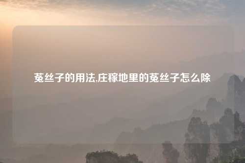 菟丝子的用法,庄稼地里的菟丝子怎么除