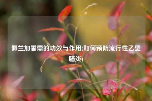 佩兰加香薷的功效与作用(如何预防流行性乙型脑炎)