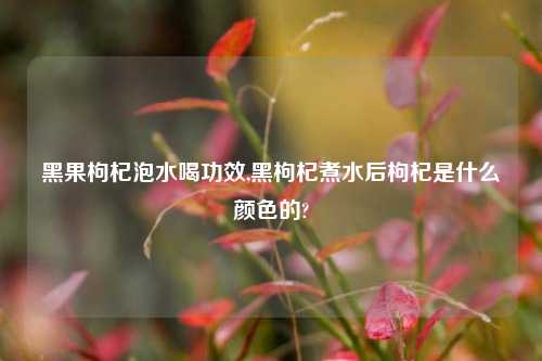 黑果枸杞泡水喝功效,黑枸杞煮水后枸杞是什么颜色的?