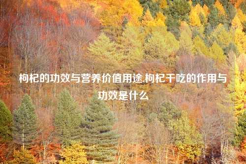 枸杞的功效与营养价值用途,枸杞干吃的作用与功效是什么