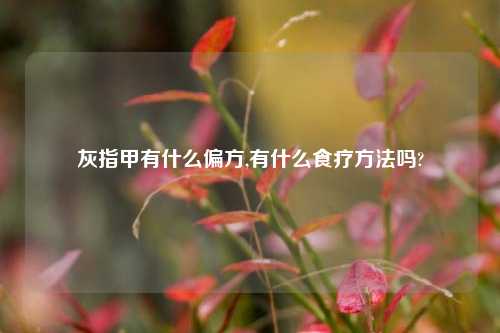 灰指甲有什么偏方,有什么食疗方法吗?