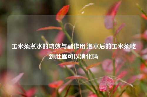 玉米须煮水的功效与副作用,泡水后的玉米须吃到肚里可以消化吗
