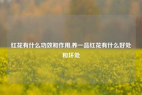 红花有什么功效和作用,养一品红花有什么好处和坏处