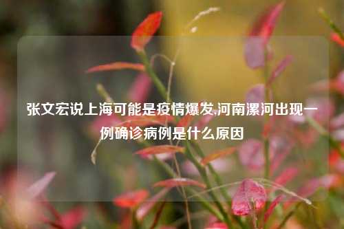 张文宏说上海可能是疫情爆发,河南漯河出现一例确诊病例是什么原因