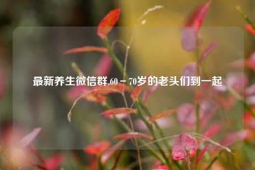 最新养生微信群,60－70岁的老头们到一起