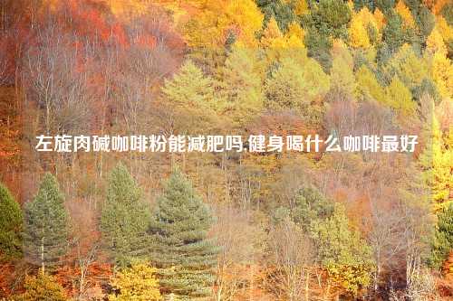左旋肉碱咖啡粉能减肥吗,健身喝什么咖啡最好