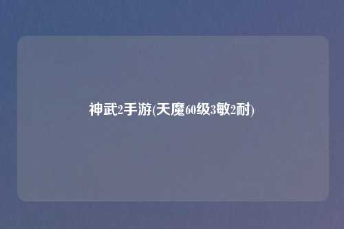 神武2手游(天魔60级3敏2耐)