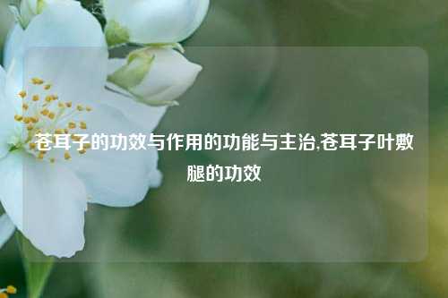 苍耳子的功效与作用的功能与主治,苍耳子叶敷腿的功效