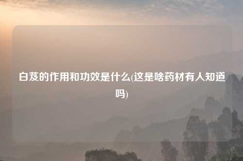 白芨的作用和功效是什么(这是啥药材有人知道吗)