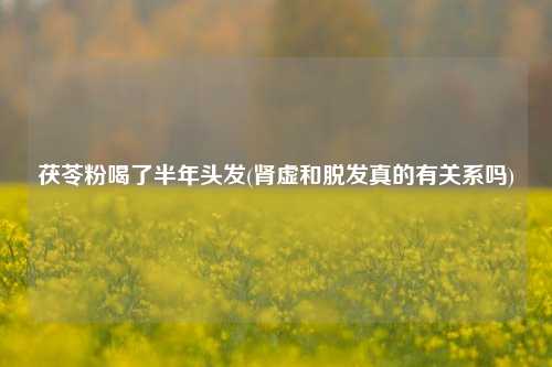 茯苓粉喝了半年头发(肾虚和脱发真的有关系吗)