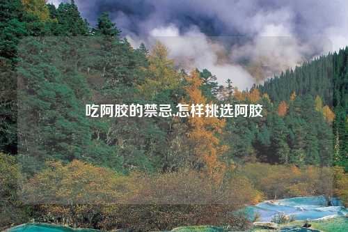 吃阿胶的禁忌,怎样挑选阿胶