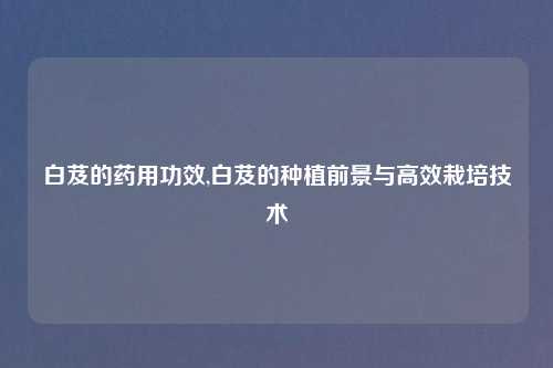 白芨的药用功效,白芨的种植前景与高效栽培技术
