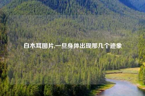 白木耳图片,一旦身体出现那几个迹象