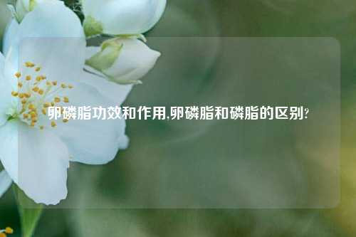卵磷脂功效和作用,卵磷脂和磷脂的区别?