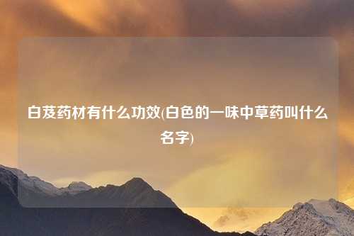 白芨药材有什么功效(白色的一味中草药叫什么名字)