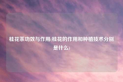 桂花茶功效与作用(桂花的作用和种植技术分别是什么)