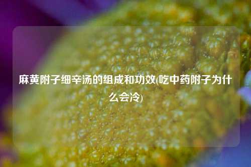 麻黄附子细辛汤的组成和功效(吃中药附子为什么会冷)