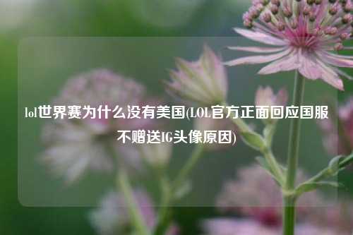 lol世界赛为什么没有美国(LOL官方正面回应国服不赠送IG头像原因)