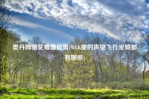 奥丹姆骆驼雕像位置(WLK里的声望飞行坐骑都有哪些)