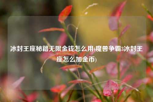 冰封王座秘籍无限金钱怎么用(魔兽争霸3冰封王座怎么加金币)