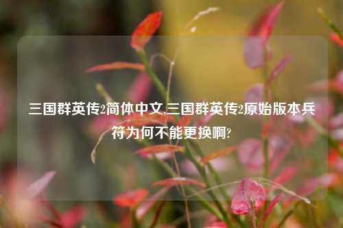 三国群英传2简体中文,三国群英传2原始版本兵符为何不能更换啊?