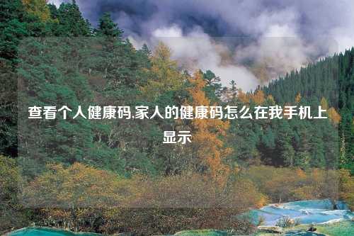 查看个人健康码,家人的健康码怎么在我手机上显示