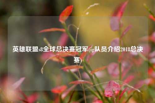 英雄联盟s8全球总决赛冠军(ig队员介绍2018总决赛)