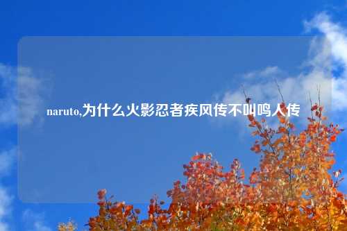 naruto,为什么火影忍者疾风传不叫鸣人传