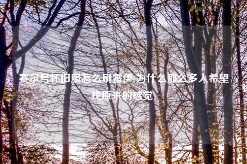 赛尔号怀旧服怎么刷雷伊(为什么那么多人希望找原来的感觉)