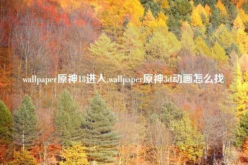 wallpaper原神18进入,wallpaper原神3d动画怎么找