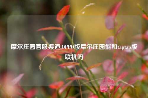 摩尔庄园官服渠道,OPPO版摩尔庄园能和taptap版联机吗