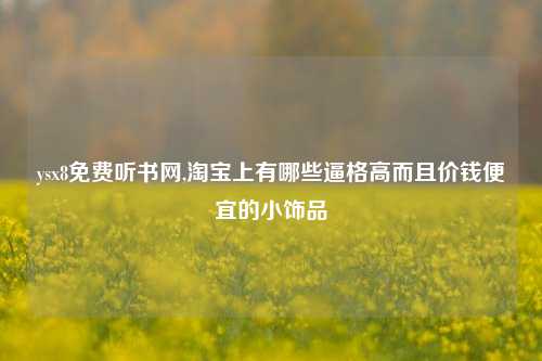 ysx8免费听书网,淘宝上有哪些逼格高而且价钱便宜的小饰品