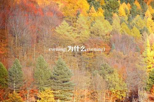 evening(为什么evening)