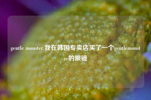 gentle monster,我在韩国专卖店买了一个gentlemonster的眼镜