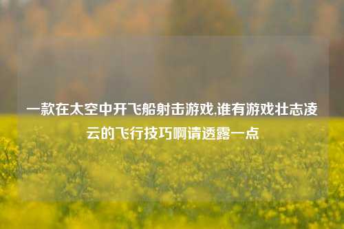 一款在太空中开飞船射击游戏,谁有游戏壮志凌云的飞行技巧啊请透露一点