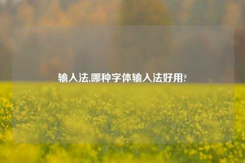 输入法,哪种字体输入法好用?