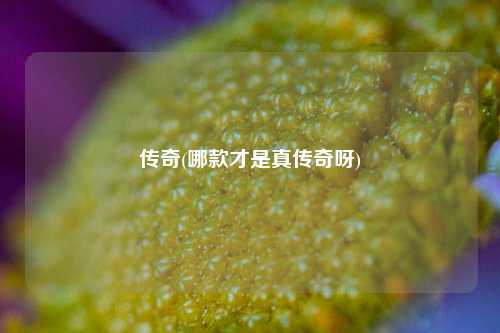 传奇(哪款才是真传奇呀)