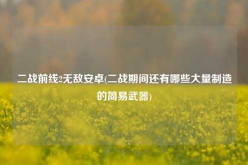 二战前线2无敌安卓(二战期间还有哪些大量制造的简易武器)