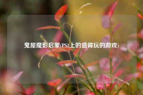 鬼屋魔影启蒙(PS1上的值得玩的游戏)