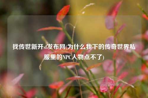 找传世新开sf发布网(为什么我下的传奇世界私服里的NPC人物点不了)