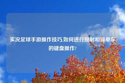 实况足球手游操作技巧,如何进行挑射和踩单车的键盘操作?