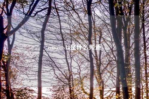 cctv,cctv18是什么频道