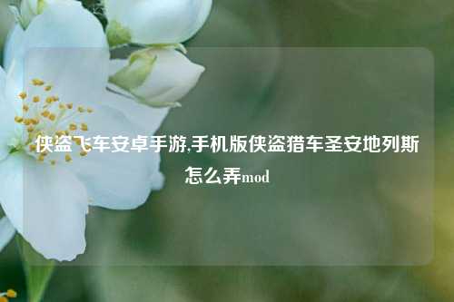 侠盗飞车安卓手游,手机版侠盗猎车圣安地列斯怎么弄mod