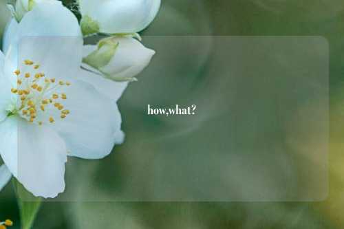 how,what?